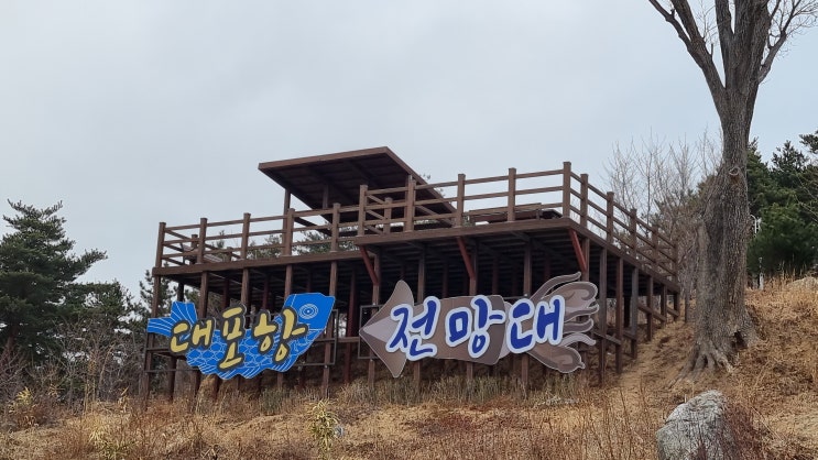  속초 해돋는 마을 대포항과 대포항전망대