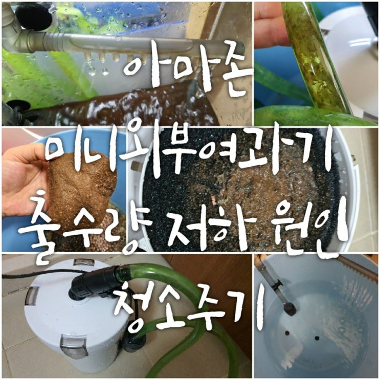 아마존 미니외부여과기 출수구 출수 유량 저하 문제 해결 방법 및 청소주기 아마존 미니외부여과기 출수구 출수 유량 저하 문제 해결 방법 및 청소주기