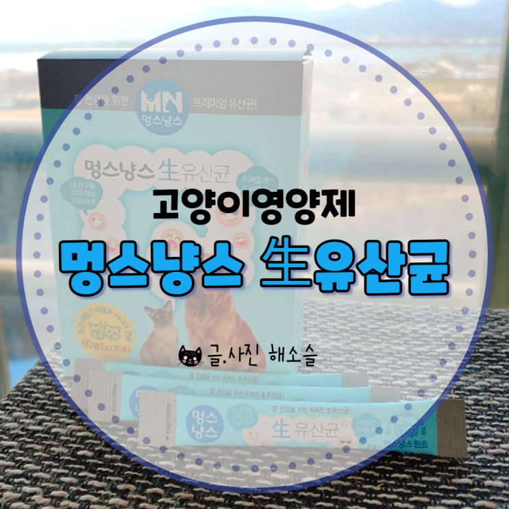  고양이영양제 멍스냥스 유산균, 장건강을 위해 추천해요~