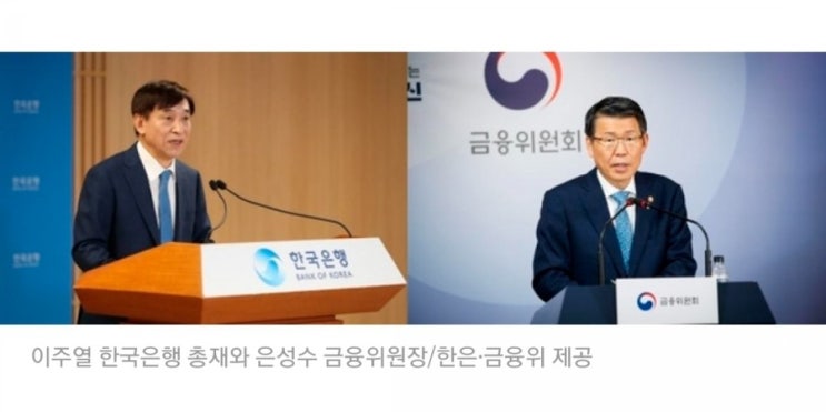  한은법 개정 트라우마...빅브라더 전금법