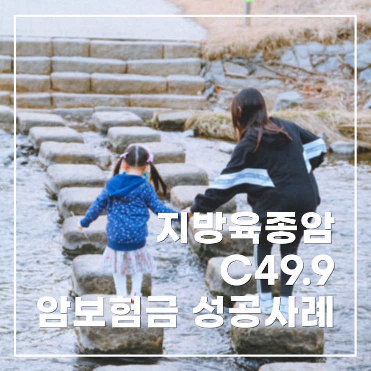 지방육종(C49.9) 암보험금 성공사례