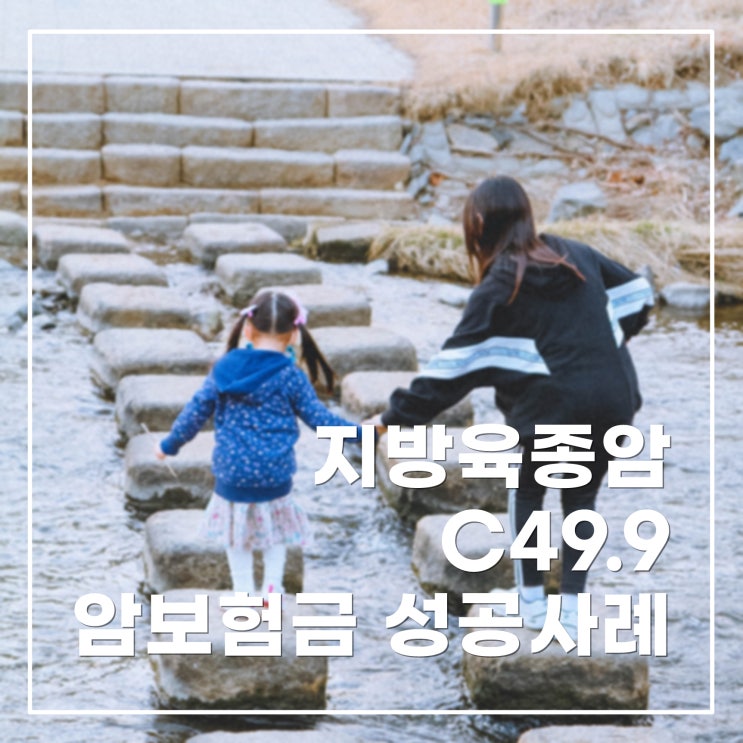 지방육종(C49.9) 암보험금 성공사례