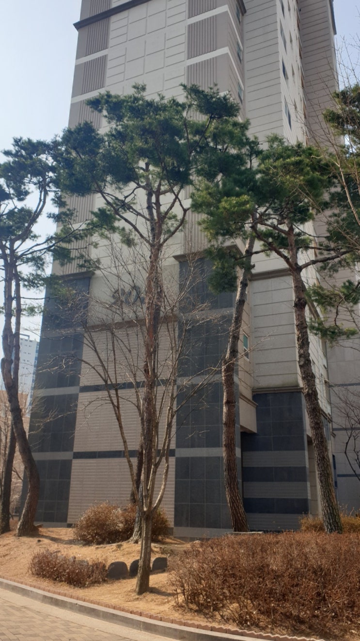  수완중흥2차 애강온도조절기 불량으로 인한조절기교체.애강구동기