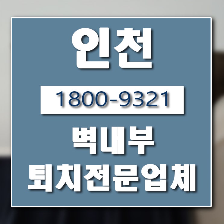  인천 벽 내부 쥐 퇴치 업체 버그헌터119입니다.
