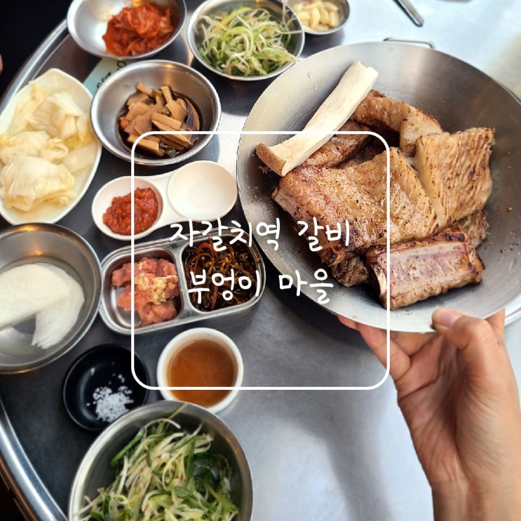  자갈치역 갈비, 부평동 40년 전통의 갈비 맛집 부엉이 마을입니다:)