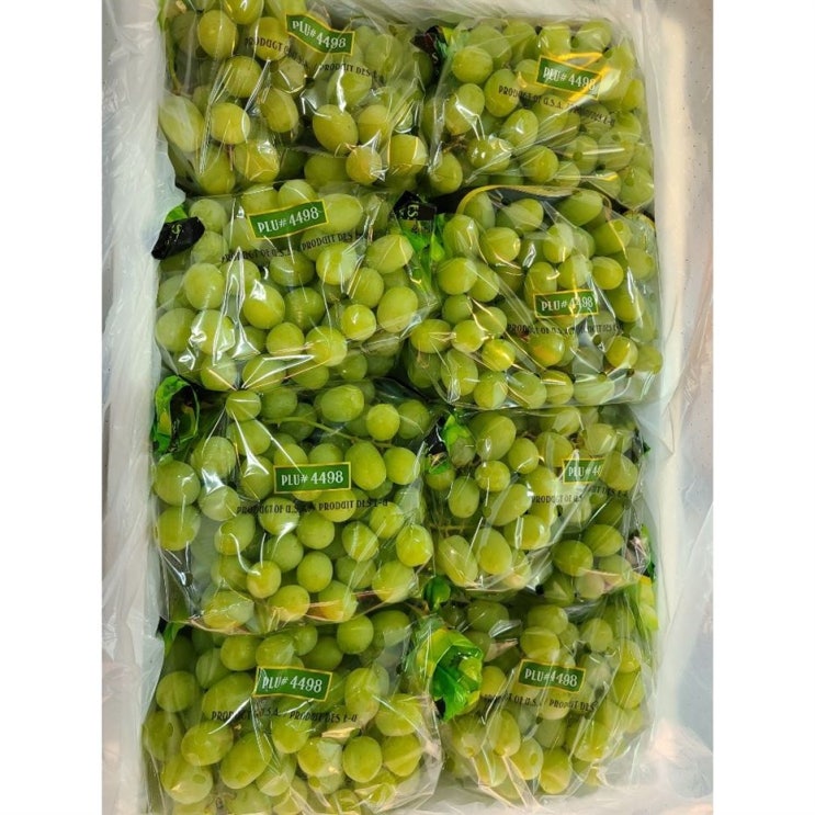  [대박할인] 마음농산 씨없는 Autumn King 오텀킹 포도 스윗글로브포도 8.2Kg한상자 2Kg 소포장-미국 페루산샤인머스켓 73,900 원! 