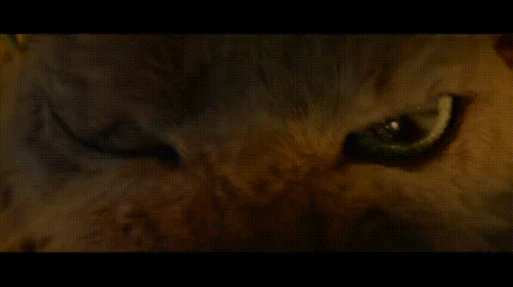 몬스터헌터-밀라 누님의 이세계 개고생 그리고 초콜렛 몬스터헌터-밀라 누님의 이세계 개고생 그리고 초콜렛