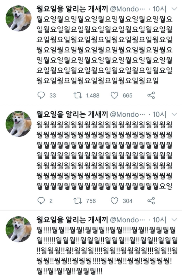  월요일을 알리는 개1새1끼 근황