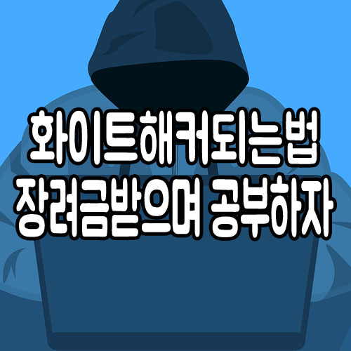  화이트해커되는법 : 훈련장려금 받으며 가능?