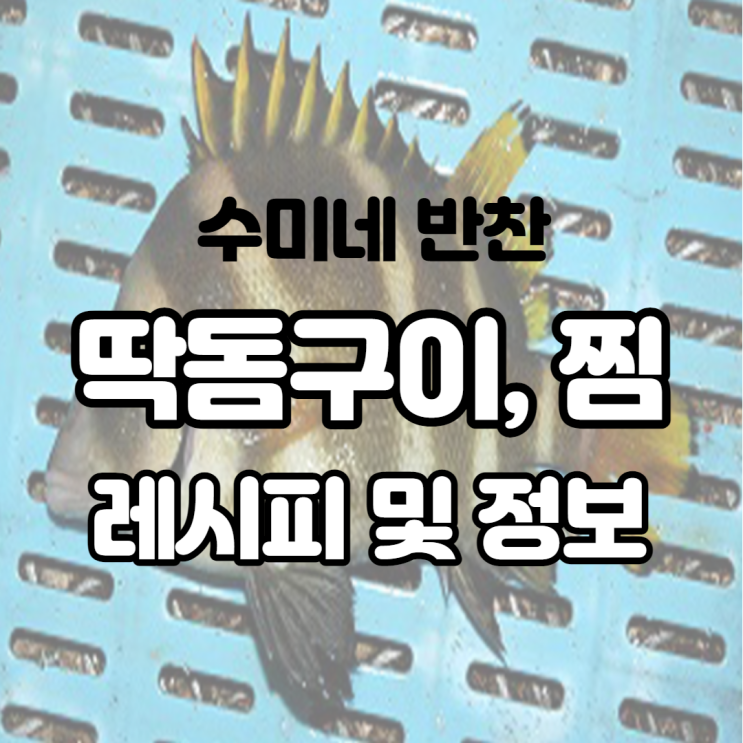  수미네 반찬 딱돔 구이 찜 레시피 군평선이 이런 생선은 처음이야!
