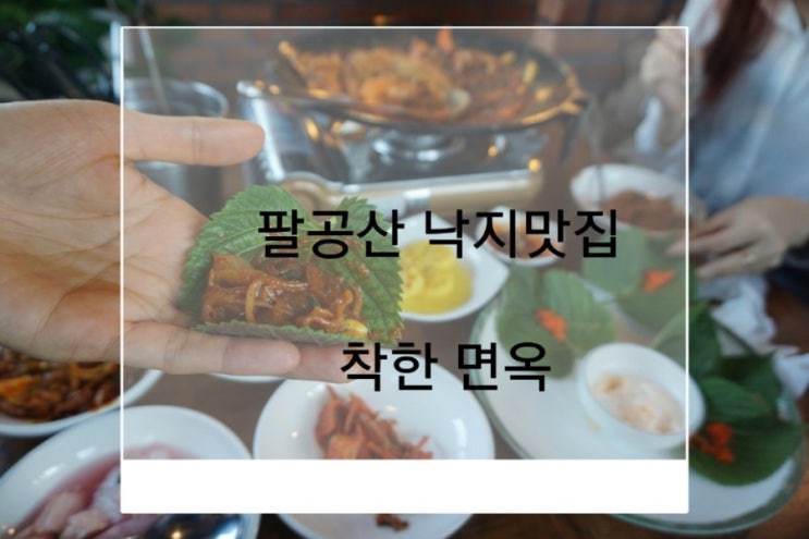  팔공산 낙지맛집 착한면옥 낙지쭈꾸미볶음 칼국수 세트메뉴 착한가격