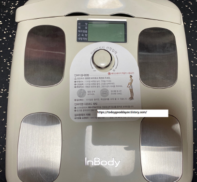 [내돈내산 리얼후기] 인바디 체중계 INBODY 다이얼 W 사용후기 : 네이버 블로그