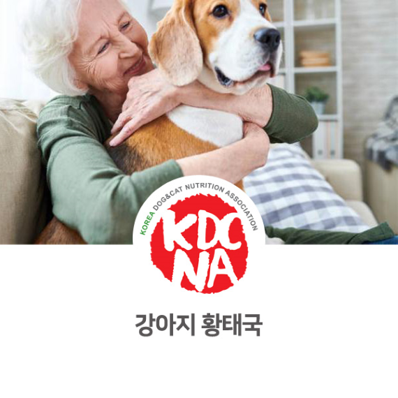  [광주/순천/여수/목포/원주/익산/군산/진주/창원/펫푸드/자격/광양/애견수제간식] 한국반려동물영양협회 완자애밥이 알려주는 강아지 황태국_746