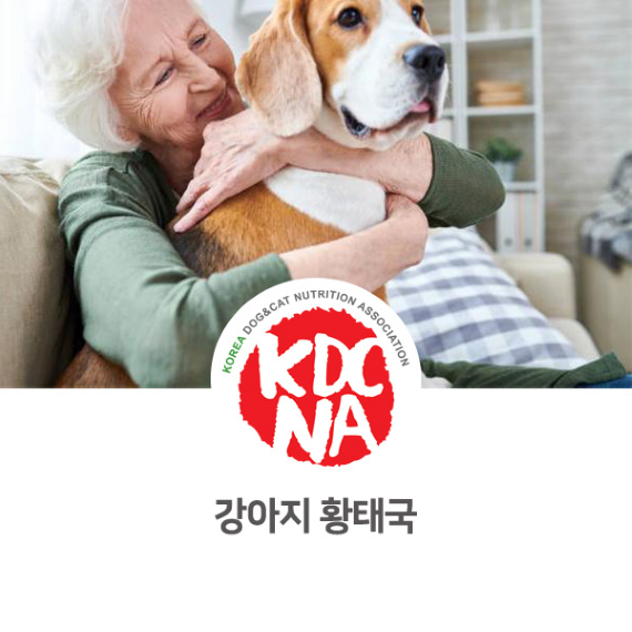 [광주/순천/여수/목포/원주/익산/군산/진주/창원/펫푸드/자격/광양/애견수제간식] 한국반려동물영양협회 완자애밥이 알려주는 강아지 황태국_746