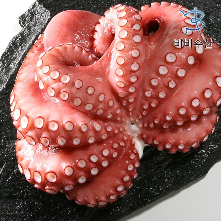 잘나가는 비비수산 세척 손질 문어(제수용 1마리) 800~1000g, 1팩 추천합니다 잘나가는 비비수산 세척 손질 문어(제수용 1마리) 800~1000g, 1팩 추천합니다