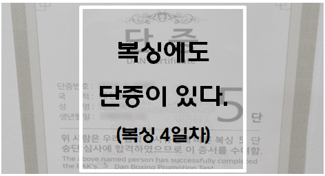  [운동] 복싱에도 단증이 있다.(복싱 4일차)