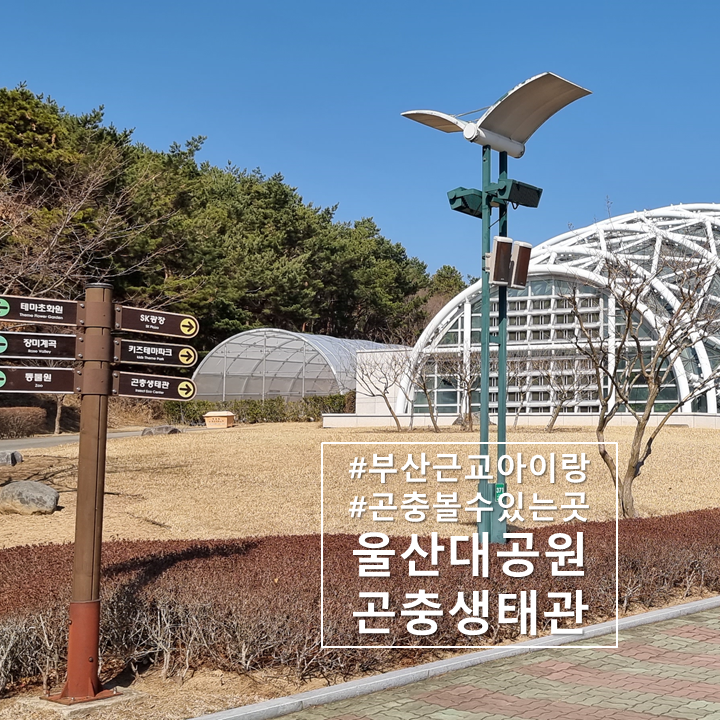  부산근교 아이랑 가볼만한 "울산대공원 생태여행관"