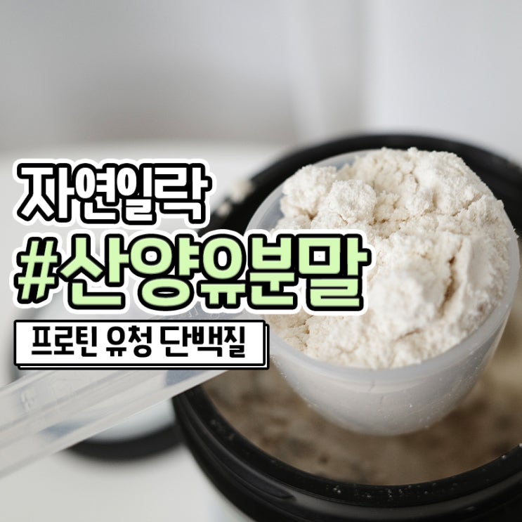  산양유 단백질 분말 자연일락 분리유청단백질로 유당불내증 해결