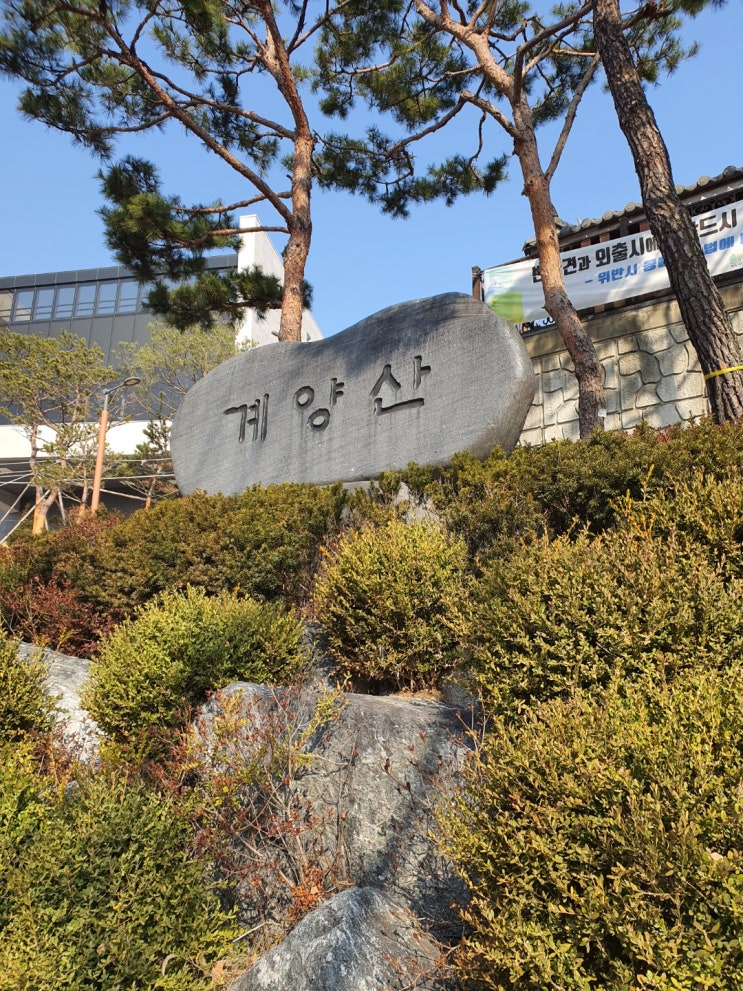  계단이 많아 계단산? 아니 "계양산" 오랜만에 다녀왔어요~