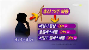 홍삼 만성피로폐경기 효능부작용:항암면역력 발기부전 콜레스테롤 주의사항