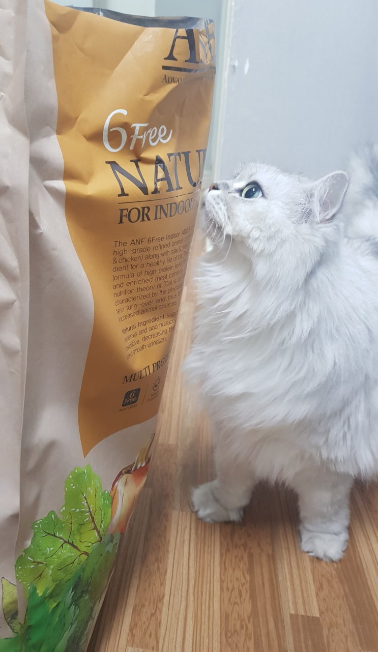  ANF 고양이 사료 6 Free 내츄럴 성분과 기호성 좋아요