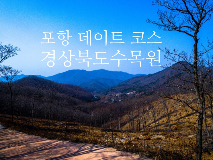 경상북도 수목원 포항 데이트 코스로 안성맞춤!