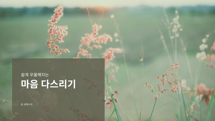  쉽게 우울해지는 마음 다스리기