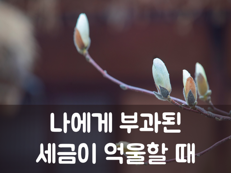  나에게 부과된 세금이 억울할 때