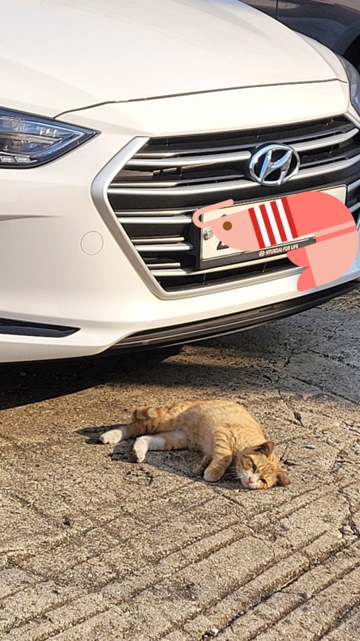  출근길 출석멤버
