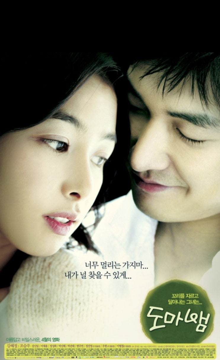 도마뱀 도마뱀
