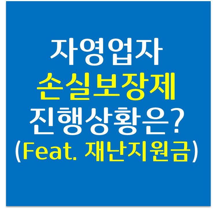  자영업자 손실보상제 및 재난지원금 진행상황은 어떻게?