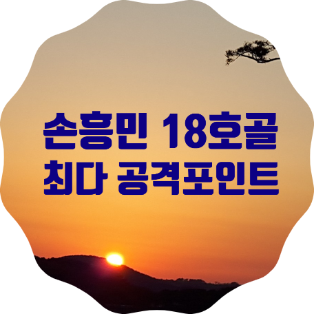 손흥민 시즌 18호 골 (31번째 공격포인트)로 한 시즌 최다 공격포인트 달성