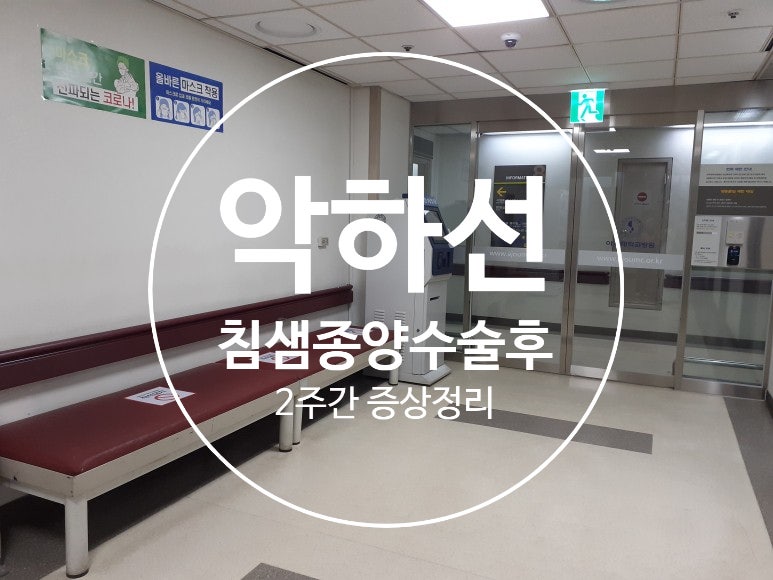 악하선 침샘양성종양(다형선종) 수술 후, 2주간의 증상정리!(아주대학교병원/다빈치로봇수술....