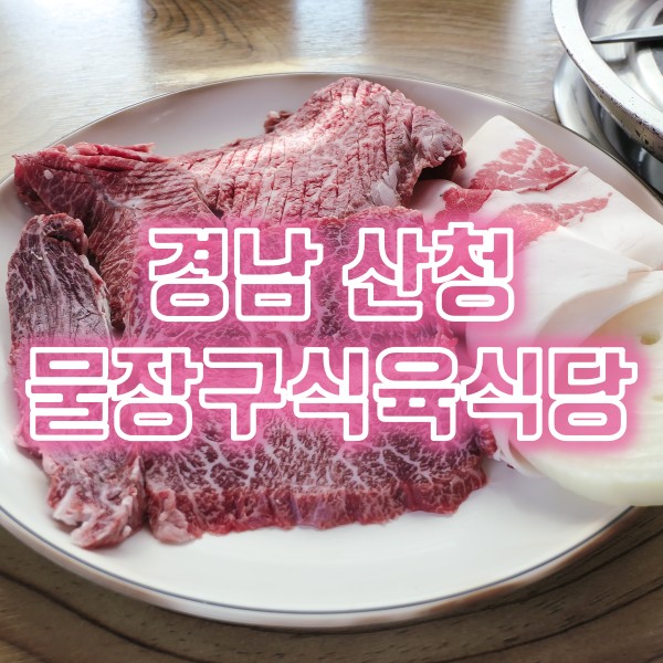  산청군 소고기 맛집 미경산 암소 한우 전문 물장구식육식당
