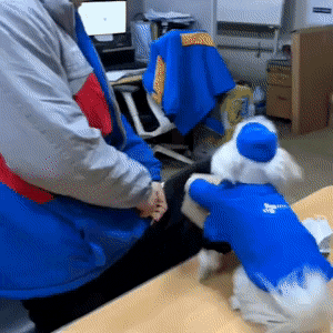  동물학대라고 누명썼던 택배트럭 말티즈