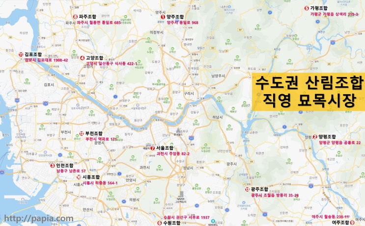  수도권 농원 나무 묘목 파는 곳 및 유실수 꽃나무 가격 시세