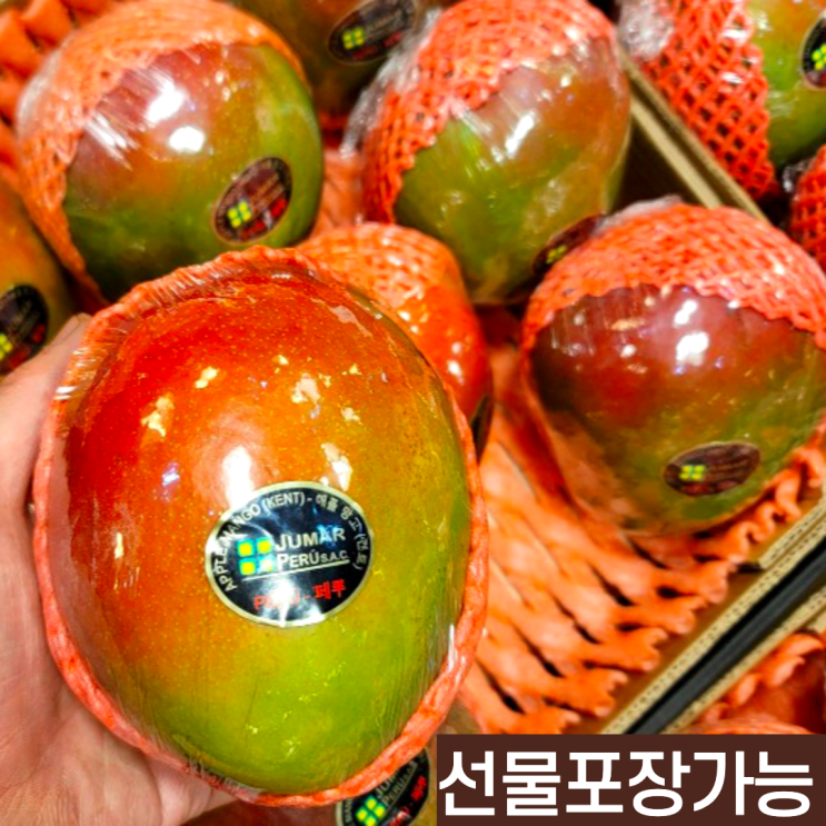 의외로 인기있는 페루애플망고 고당도 페루산 현대백화점 애플망고 4kg 2kg 4키로 2키로 부모님 시댁 설명절선물 남자친구 여자친구 집인사선물 예비시댁인사 예비시부모님 시댁인사 선 의외로 인기있는 페루애플망고 고당도 페루산 현대백화점 애플망고 4kg 2kg 4키로 2키로 부모님 시댁 설명절선물 남자친구 여자친구 집인사선물 예비시댁인사 예비시부모님 시댁인사 선