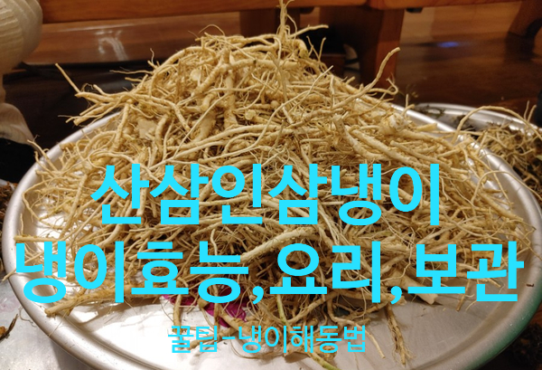  냉이전 라면 삼겹살 냉이가 산삼인지 인삼인지 구분못함 - 냉이 효능,요리, 보관 및 해동꿀팁