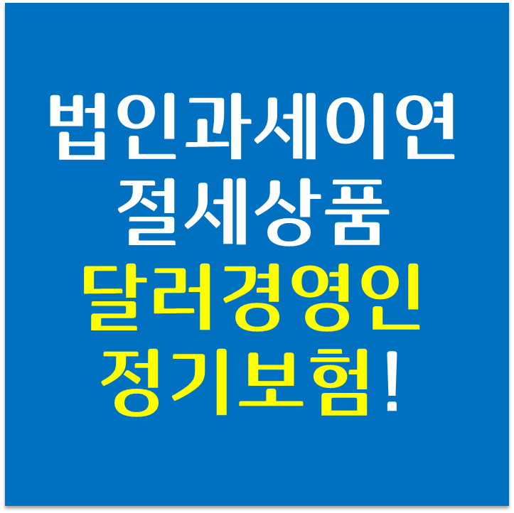 [CEO플랜] 과세이연 처리되는 절세상품 달러경영인정기보험