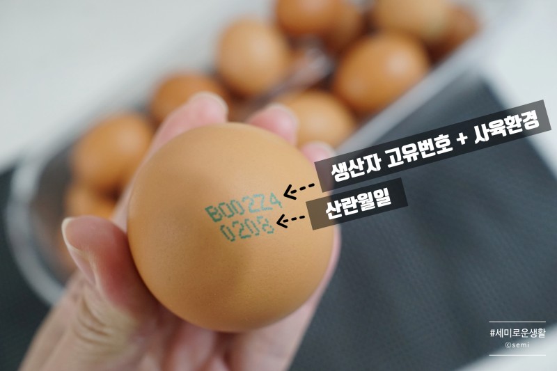 계란 유통기한 확인 방법 (상한 달걀 구별법) : 네이버 블로그