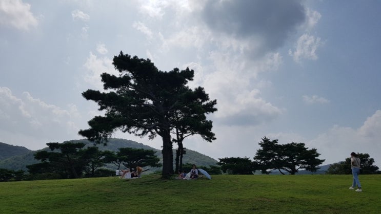  [경주 화랑의언덕] 아이들과 돗자리소풍, 놀이터, 데이트, 드라이브, 캠핑클럽 이효리 명상바위 인생샷은 여기서.