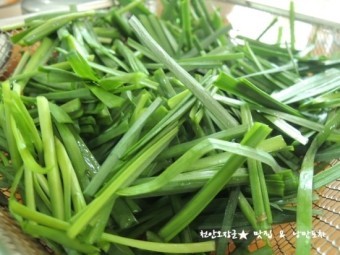 약초 - 봄의 정령을 찾아서... 약초 - 봄의 정령을 찾아서...