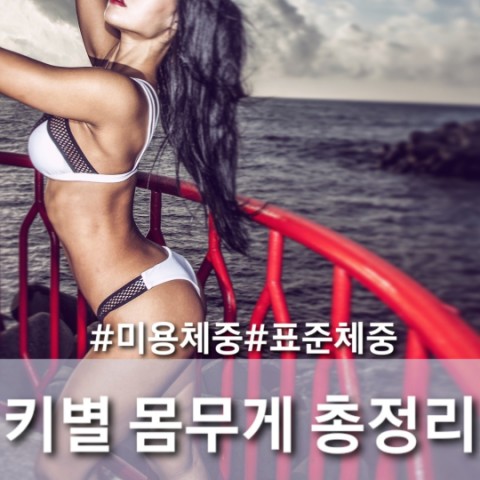  키별 몸무게, 더 중요한 눈바디 총정리
