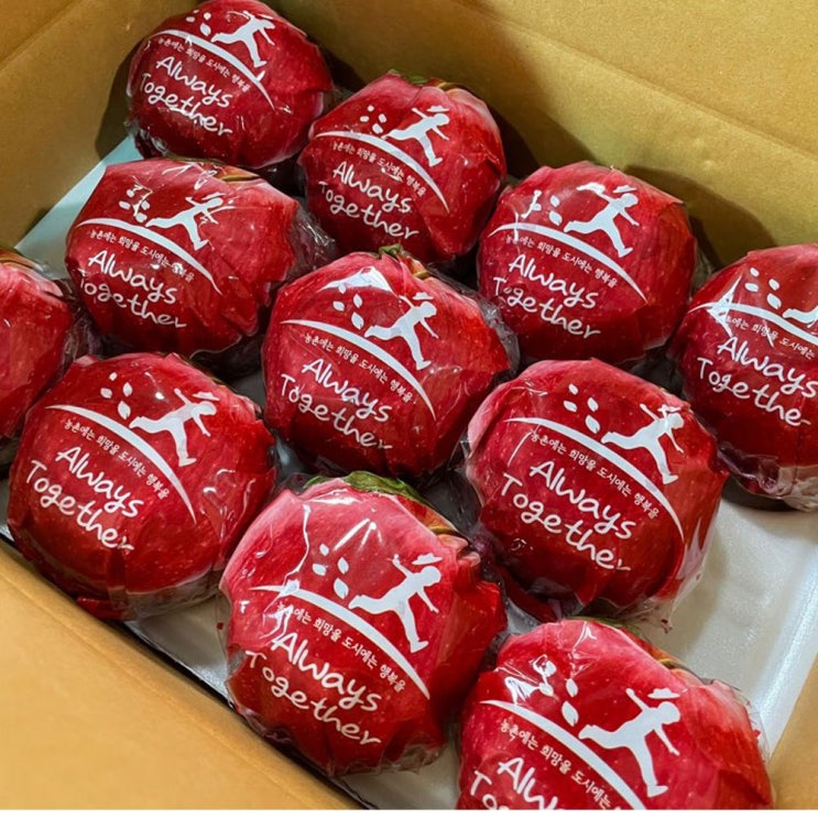 선호도 좋은 (특가/선물용) 농협과일촌 당도보장 맛보장 안동 꿀 세척사과 2.5kg, 1box, 02) 꿀 사과(알)2.5kg (11-12과) 추천해요 선호도 좋은 (특가/선물용) 농협과일촌 당도보장 맛보장 안동 꿀 세척사과 2.5kg, 1box, 02) 꿀 사과(알)2.5kg (11-12과) 추천해요