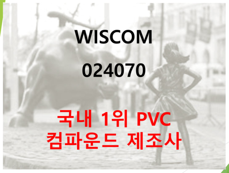  WISCOM 지난해 영업손실 14억원 (feat. 적자전환)