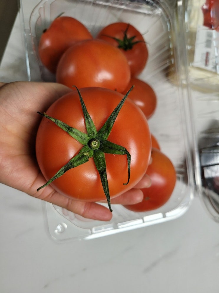  코스트코 장바구니 공개, 딸기트라이플, 블루베리, 토마토 맛있어요.
