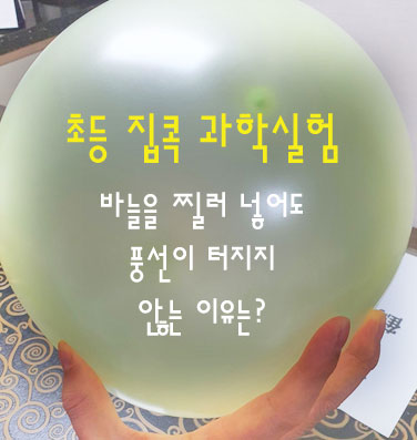  초등 과학실험 - 바늘로 찔러도 안 터지는 풍선