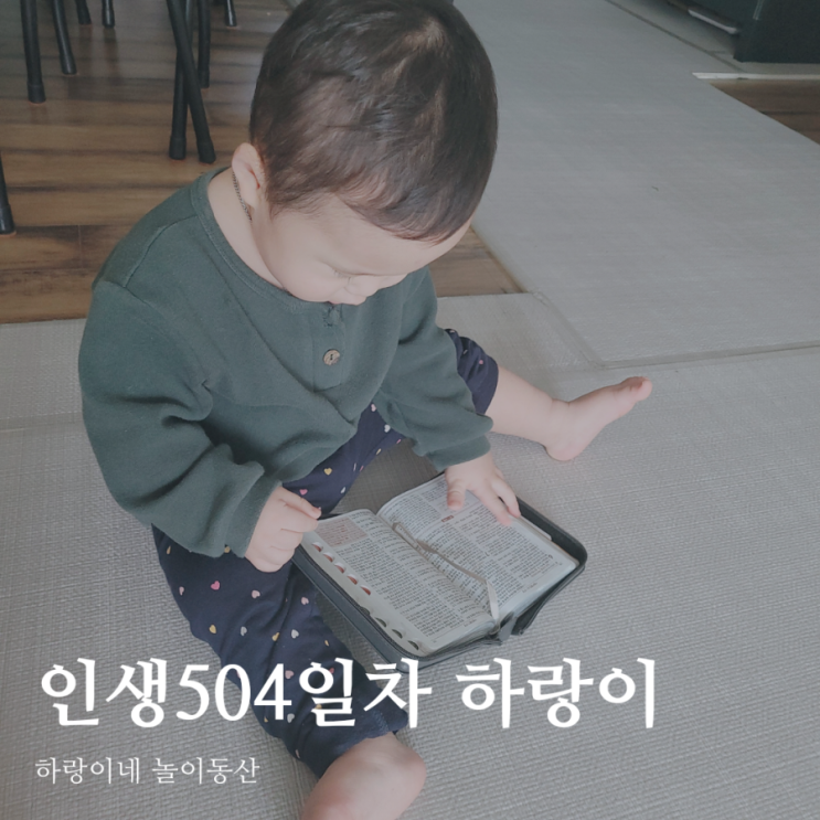  인생504일차 아들 육아일기, 16개월 성장발달