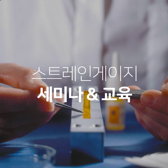  Strain Gauge Seminar / 스트레인 게이지 세미나