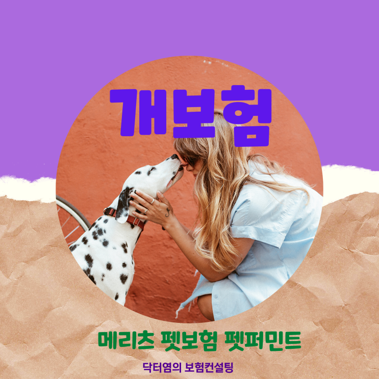  개보험으로 메리츠 펫보험 펫퍼민트를 들어야만 하는 이유 실제사례